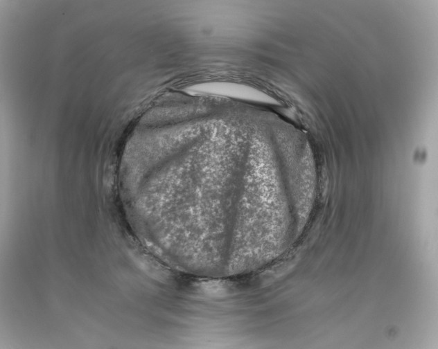 X0000091060417200709041203