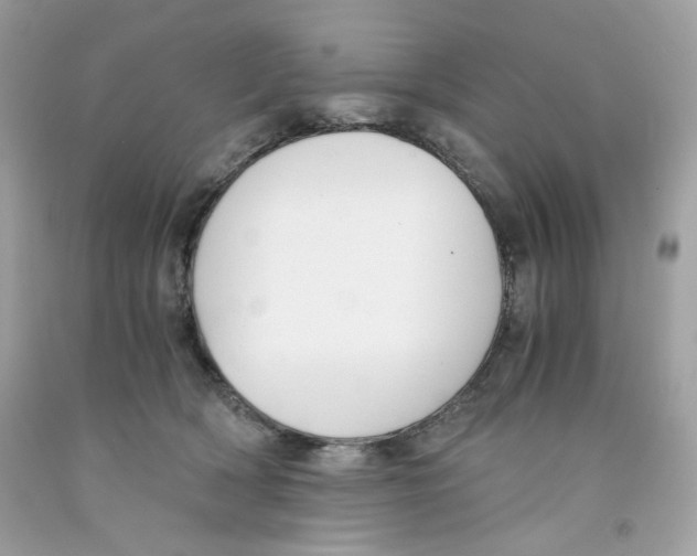 X0000091060418200709041203