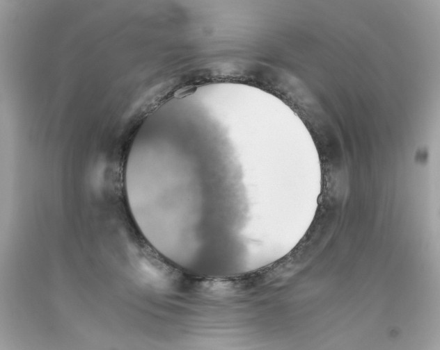 X0000091060419200709041203