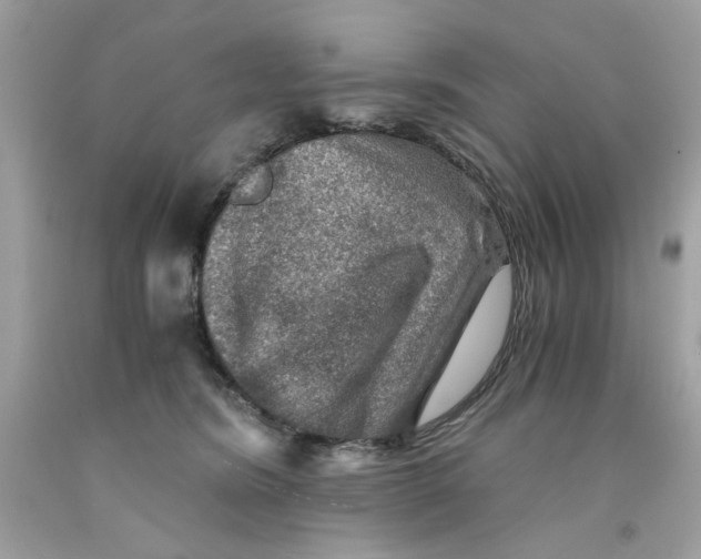 X0000091060420200709041203