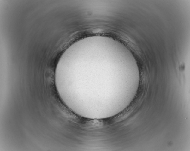 X0000091060421200709041203