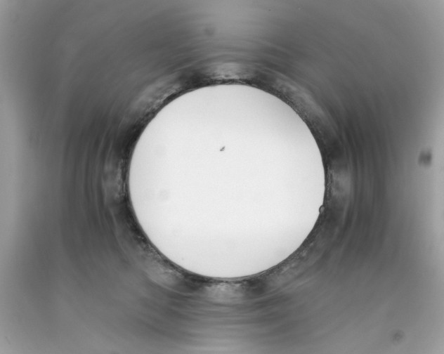 X0000091060422200709041203