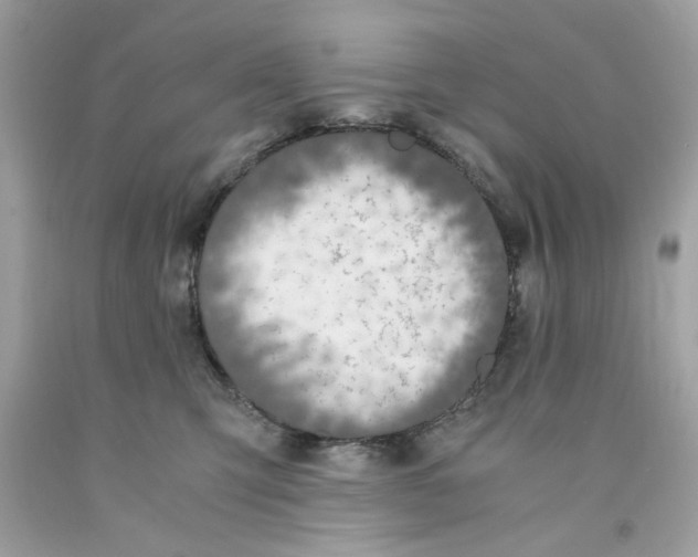 X0000091060423200709041203