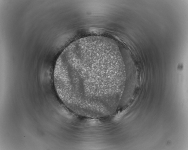 X0000091060424200709041203