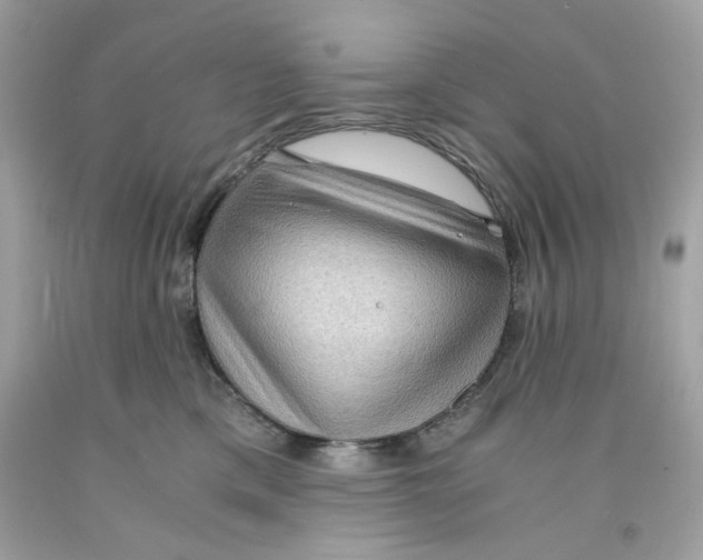 X0000091060425200709041203