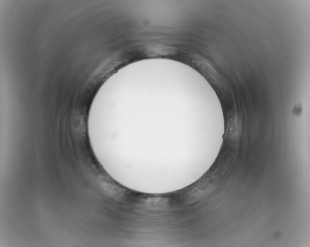 X0000091060426200709041203