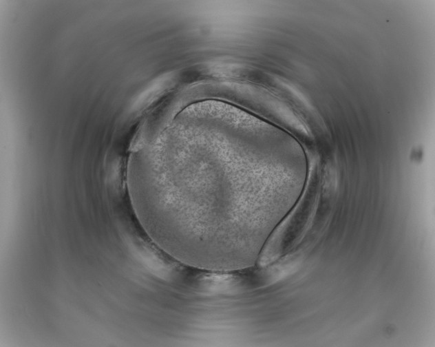 X0000091060428200709041203