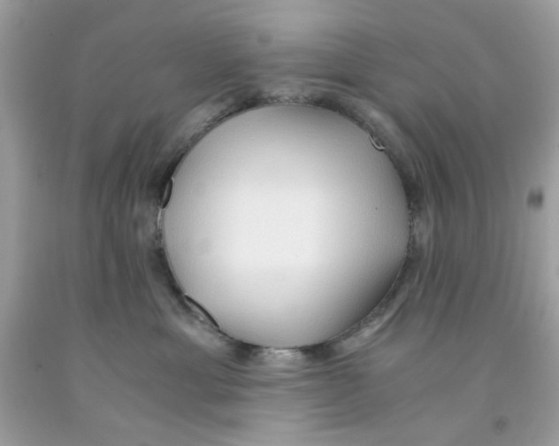 X0000091060429200709041203