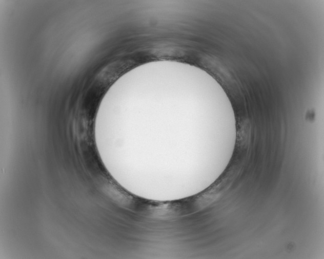 X0000091060430200709041203