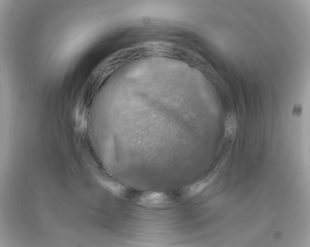 X0000091060431200709041203