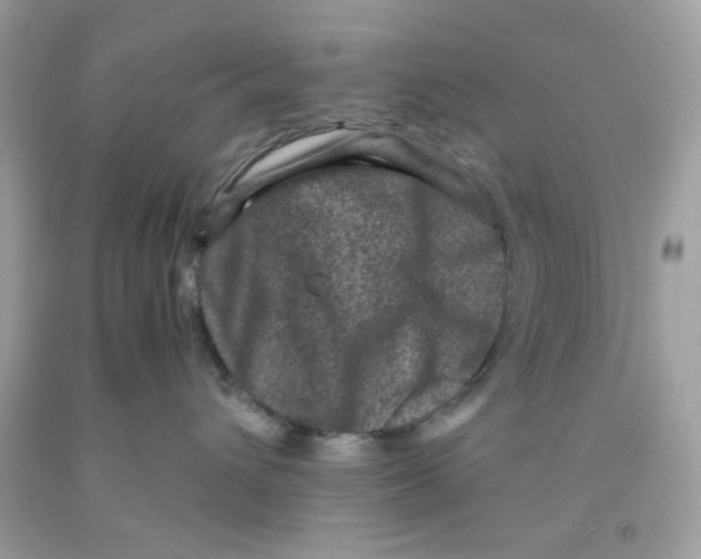 X0000091060432200709041203