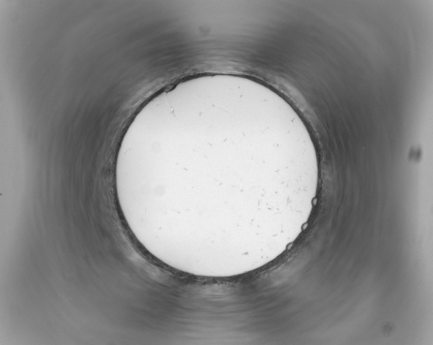 X0000091060433200709041202