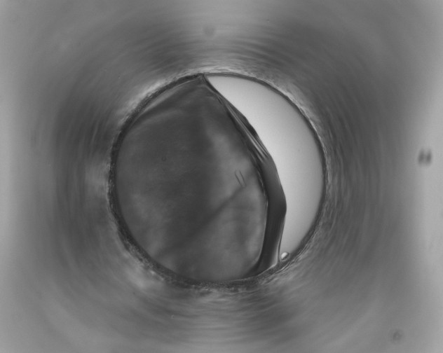 X0000091060434200709041202