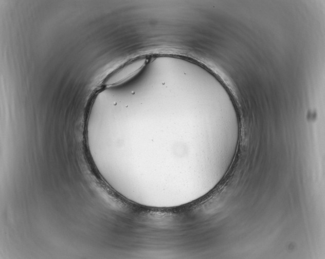 X0000091060437200709041202