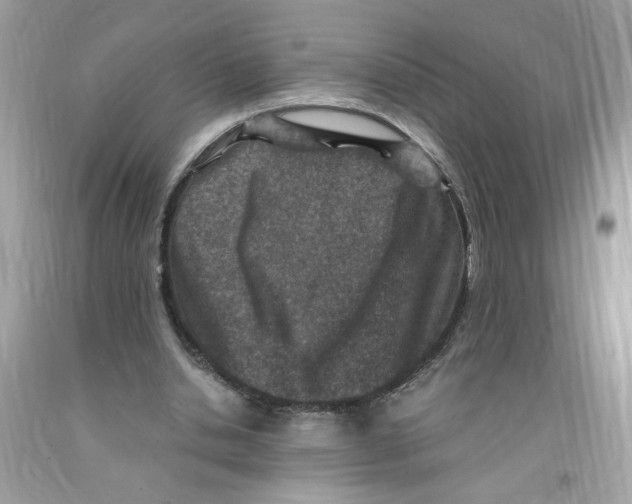 X0000091060438200709041202