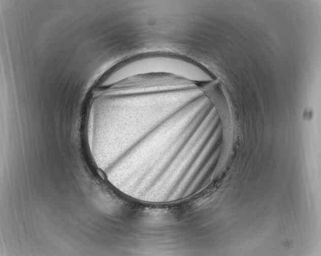 X0000091060440200709041202