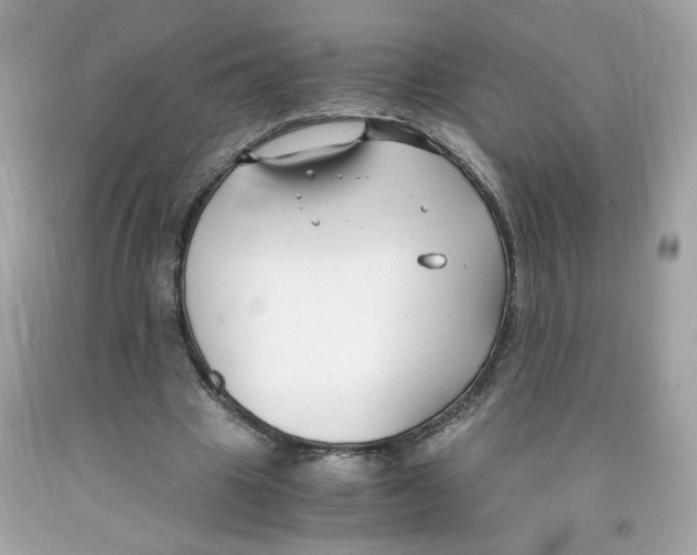 X0000091060441200709041202