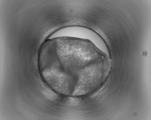 X0000091060442200709041202