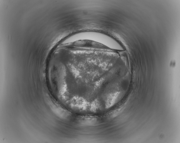 X0000091060443200709041202