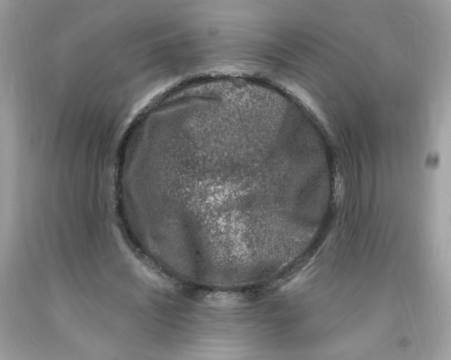 X0000091060444200709041202