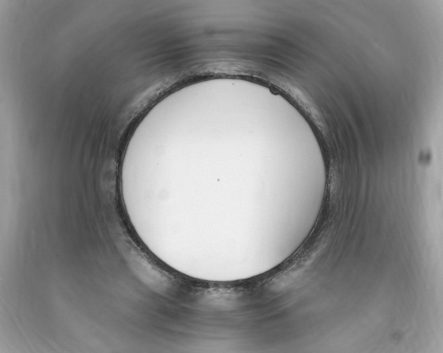 X0000091060445200709041202