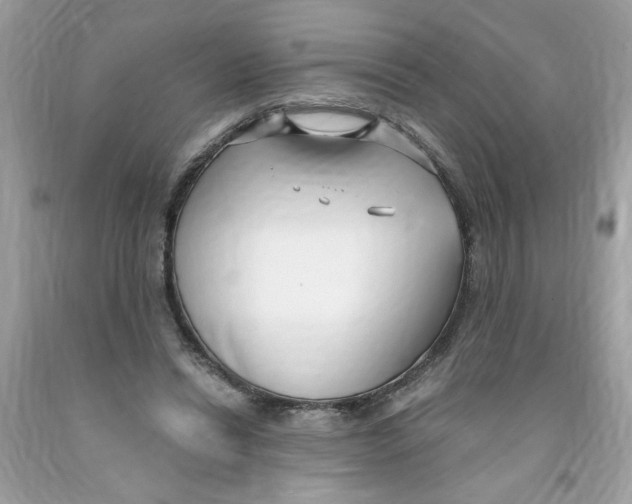 X0000091060446200709041202