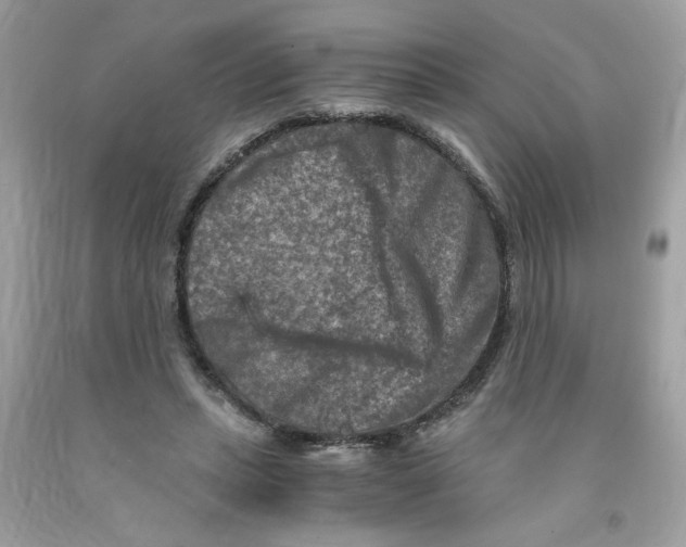 X0000091060447200709041202