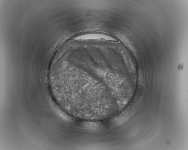 X0000091060449200709041202