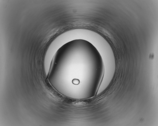 X0000091060452200709041202