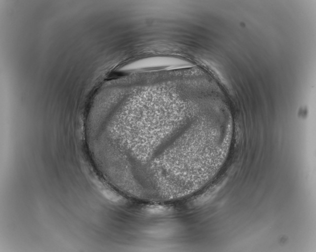 X0000091060453200709041202