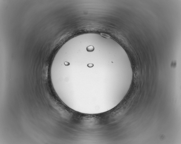 X0000091060454200709041202