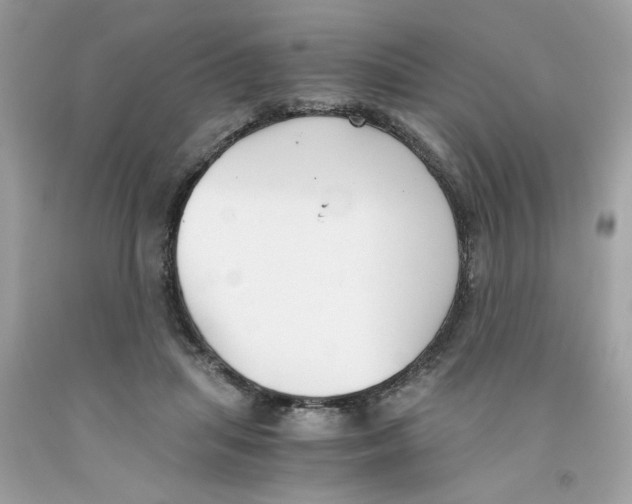 X0000091060455200709041202