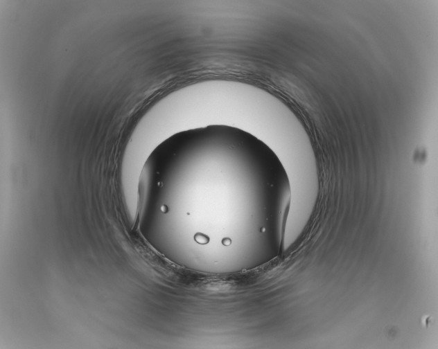 X0000091060456200709041202