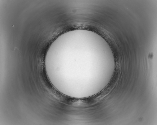 X0000091060460200709041202