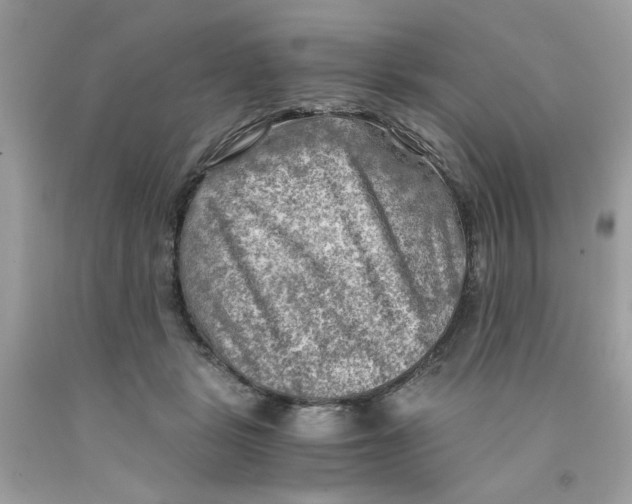 X0000091060461200709041202