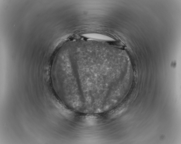 X0000091060462200709041202