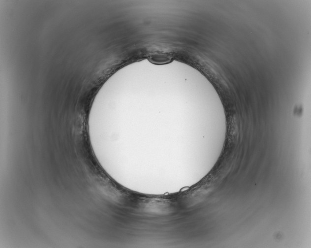 X0000091060463200709041202