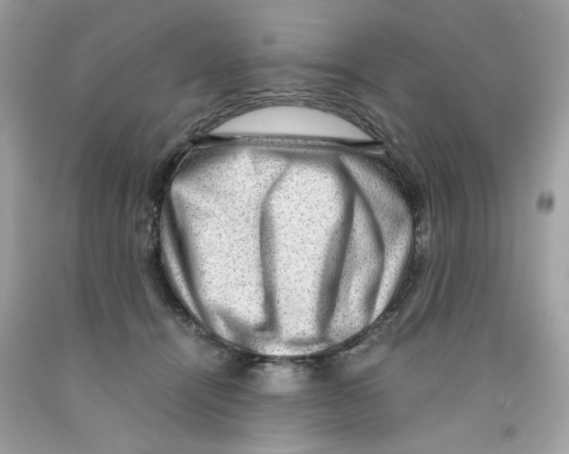 X0000091060464200709041202