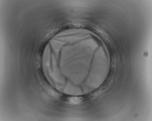 X0000091060465200709041202