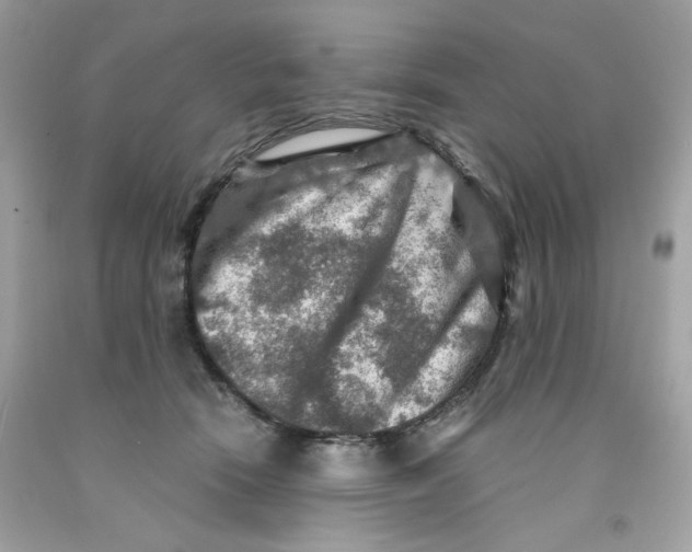 X0000091060466200709041202