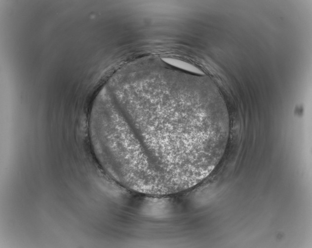 X0000091060469200709041202