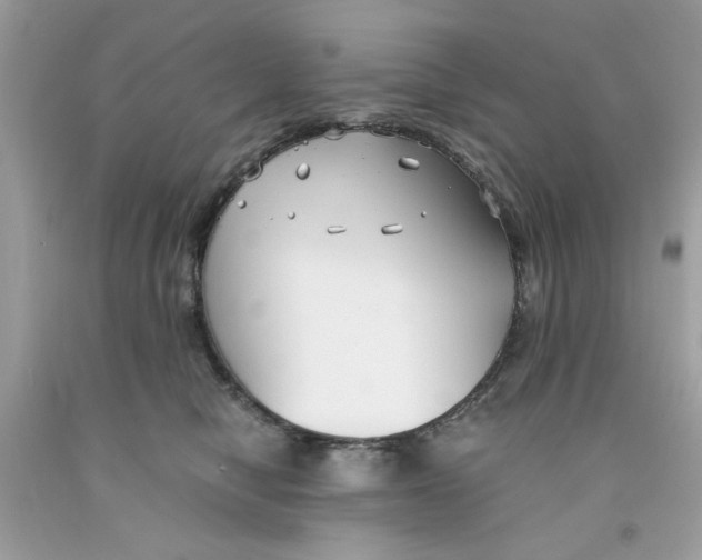 X0000091060470200709041202