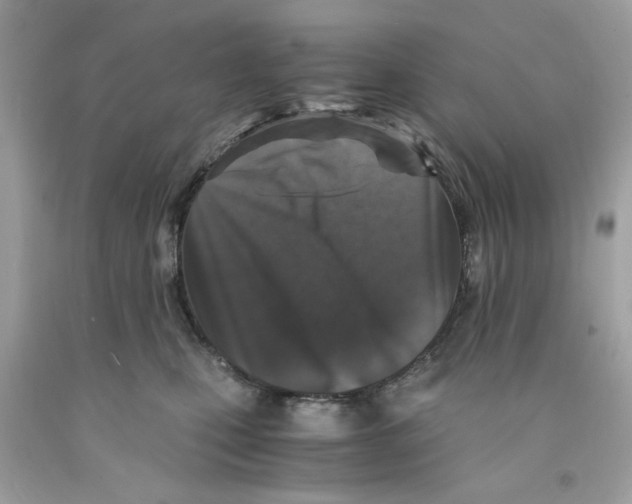 X0000091060471200709041202