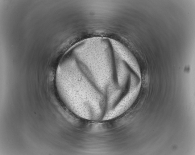 X0000091060472200709041202