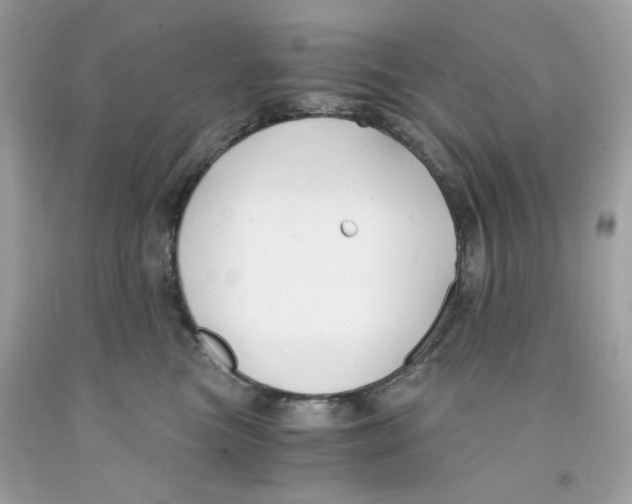 X0000091060473200709041202