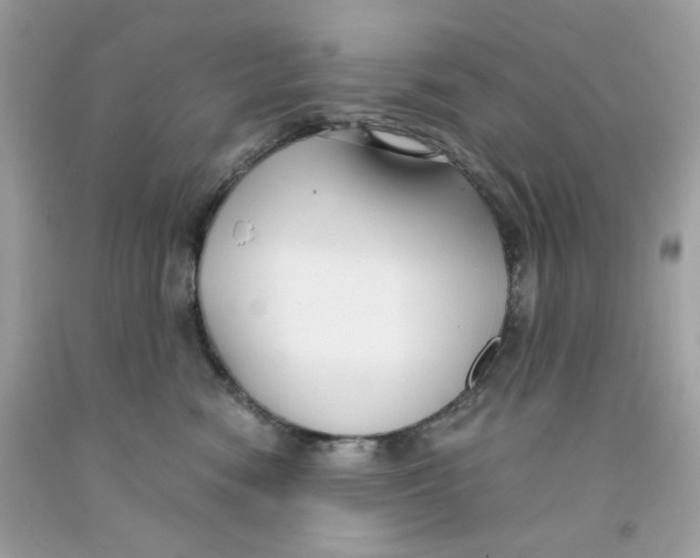 X0000091060474200709041202