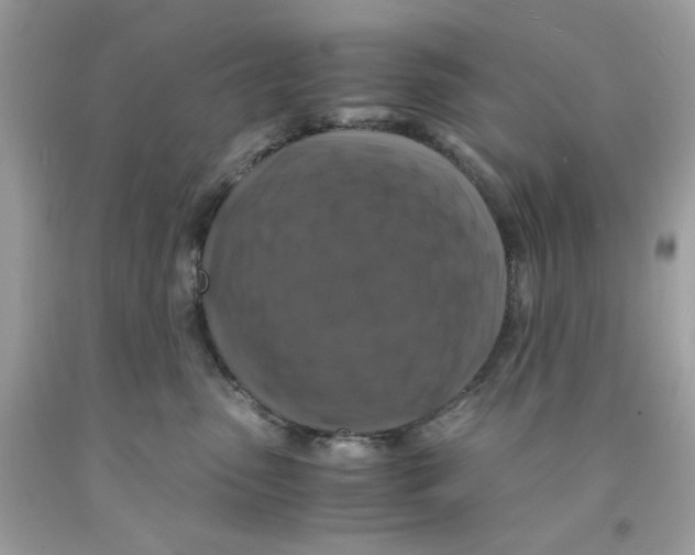 X0000091060475200709041202