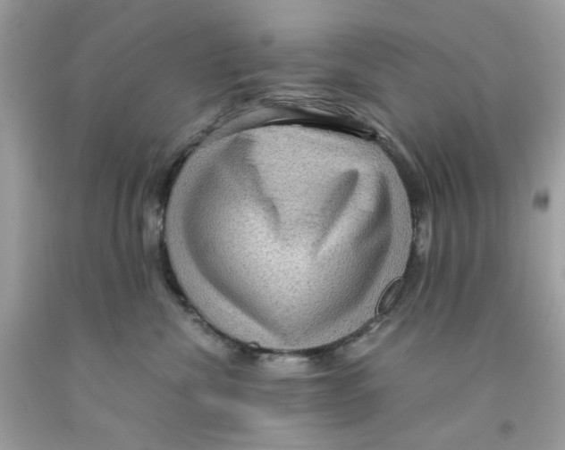 X0000091060476200709041202