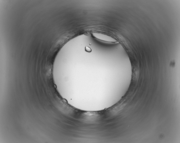 X0000091060477200709041202