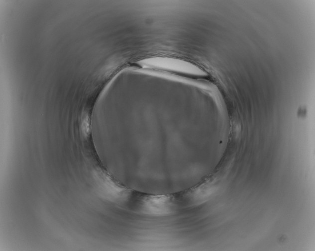 X0000091060479200709041202